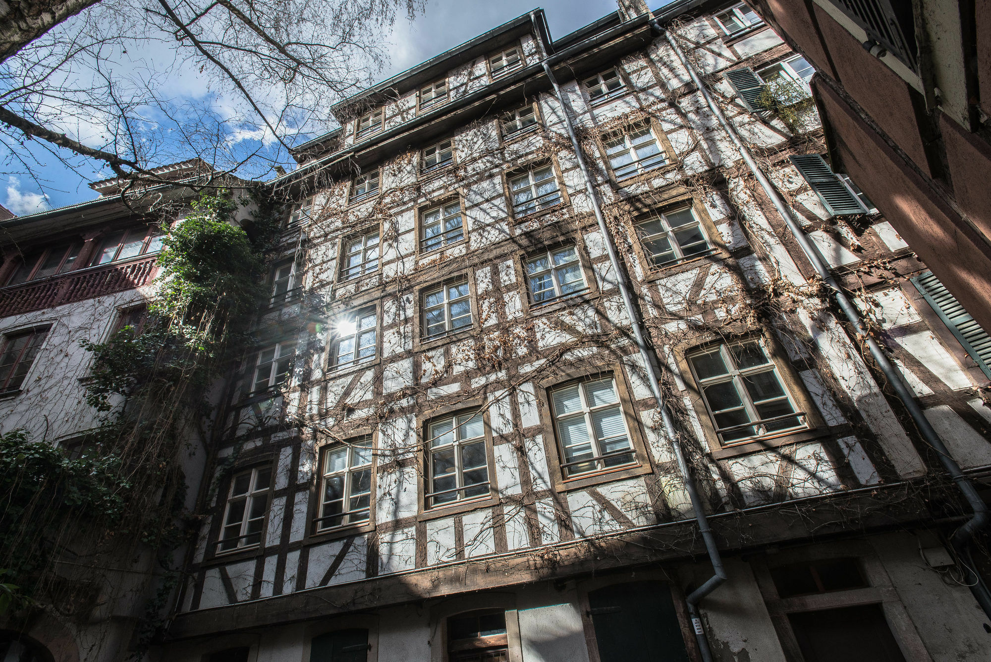 Appartement Des Moulins Strazburg Dış mekan fotoğraf